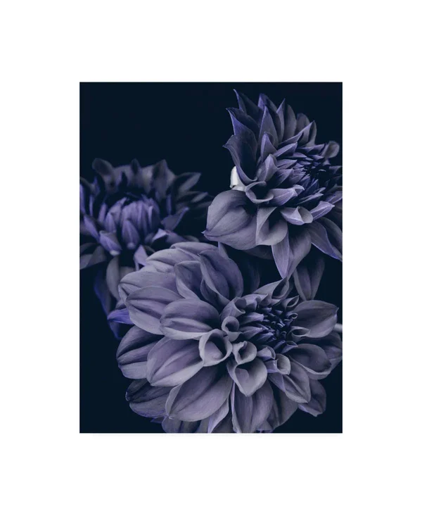 Trademark Fine Art Ic01422-C1824Gg Design Fabrikken 'Secret 15 Fabrikk