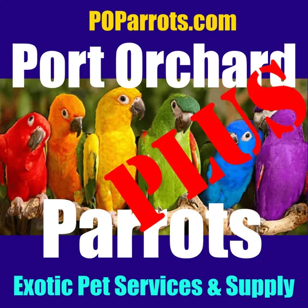 Hawk Pelleted Place Pacs