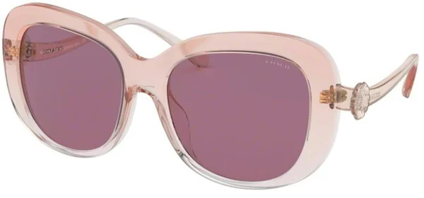 Coach Sunglasses HC8263U 55526G