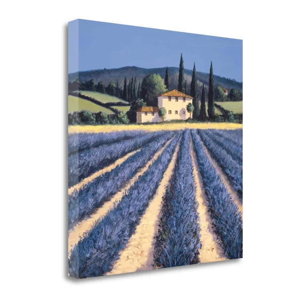 Tangletown Fine Art Colors of Summer by David Short, Giclee Print on Gallery Wrap Canvas, 35x22X35x22