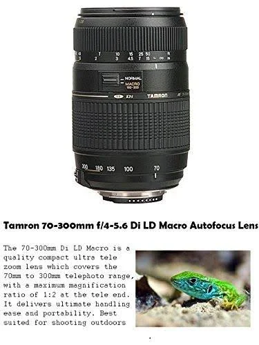 Canon Eos Rebel SL2 DSLR Camera with EF-S 18-55mm f/4-5.6 Is STM Lens + 70-300mm f/4-5.6 Lens + 2 Memory Cards + 2 Auxiliary Len