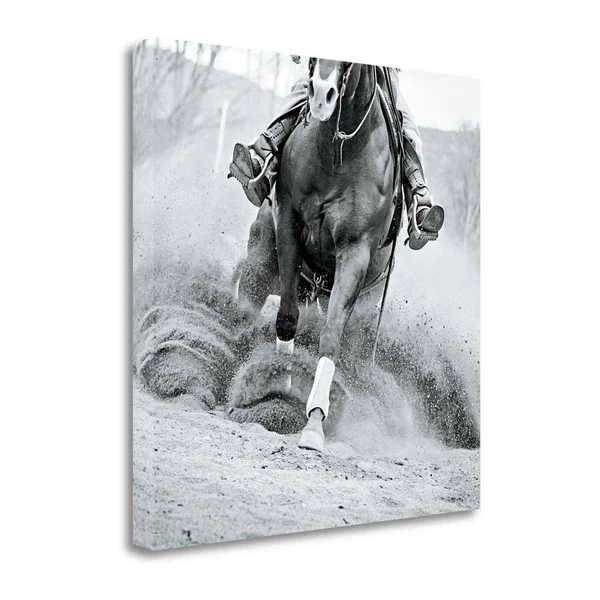 20x22 x 20x22 Reining in by Lisa Cueman Fine Art Giclee Print