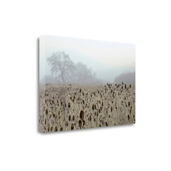 19x22 x 28x22 Oak Tree - 61 by Alan Blaustein Fine Art Giclee Print