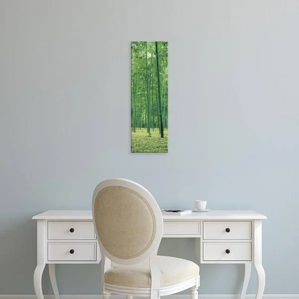 Easy Art Prints Panoramic Images's 'Bamboo Forest Nagaokakyo Kyoto Japan' Premium Canvas Art - 24 x 8 - Brazilian Barnwood Frame