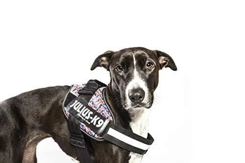 Julius-K9 IDC-Power Harness - British Flag, Size: 4/96-138 cm/38-54.5x22