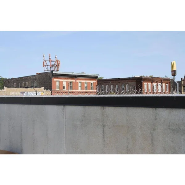 Stainless Steel Bird Spikes, 50 Feet - Bird-X - STS-50