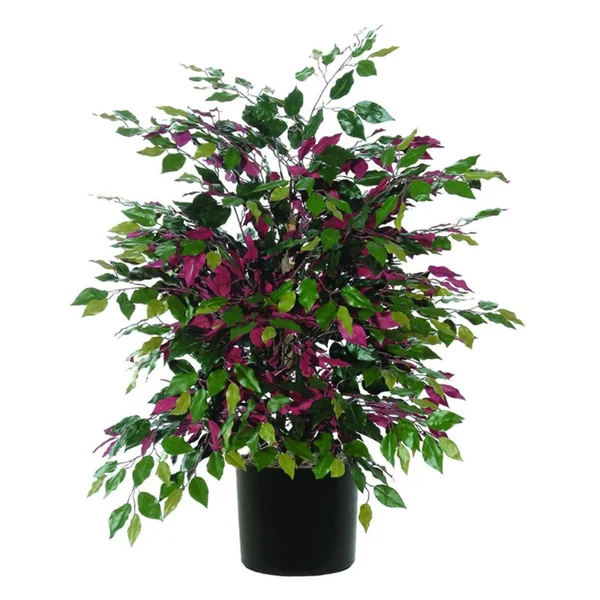 Vickerman TXX0340-06 4& Capensia Extra Full