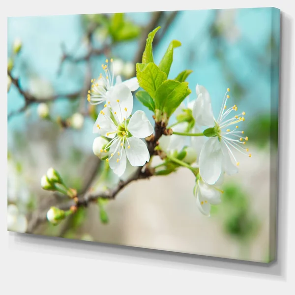 Designart 'Beautiful Cherry Blossom N Spring' Modern Floral Large Canvas Art - 40 in. Wide x 30 in. High