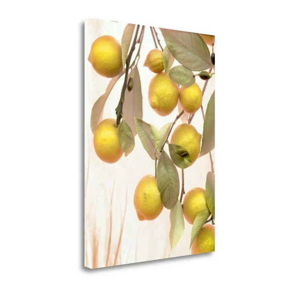 34x22 x 26x22 Lemons - 1 by Alan Blaustein Fine Art Giclee Print