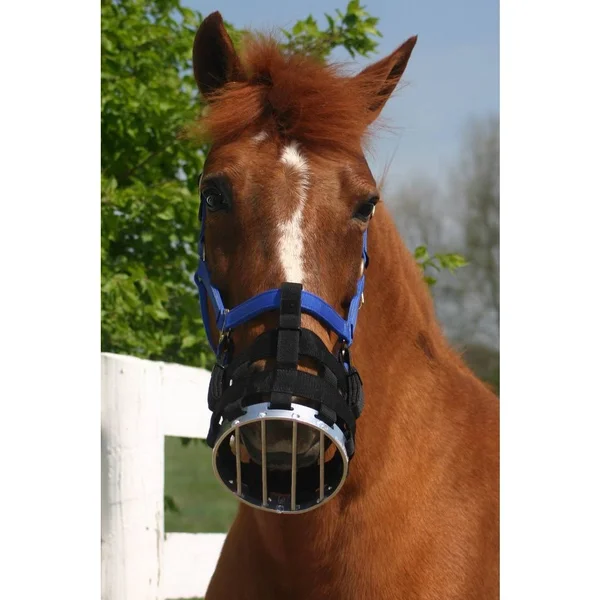 Best Friend Cribbing Muzzle COB