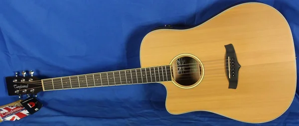 Tanglewood TW10LH Winterleaf Dreadnought C/E Acoustic Left