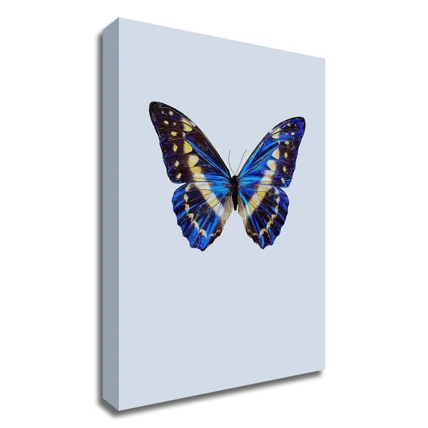 Tangletown Fine Art 24x22 x 18x22 Blue Butterfly by Incado Print on Canvas