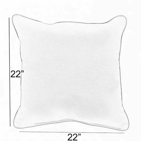 Sunbrella Beige Black Stripe with Black Indoor/Outdoor Square Pillows Set of 2 - 22 in