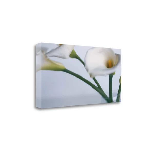 Tangletown Fine Art Springplicity I by Cinzia Ryan - Gallery Wrap Canvas