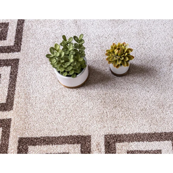 Unique Loom Modern Athens Area Rug (6& x 6& Round - Beige/ Brown)