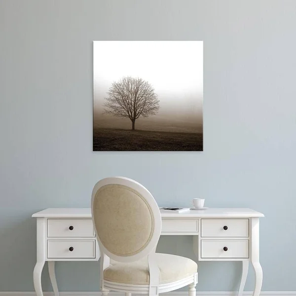 Easy Art Prints PhotoINC Studio's 'Tree in Mist 1' Premium Canvas Art - 12 x 12 - Brazilian Barnwood Frame
