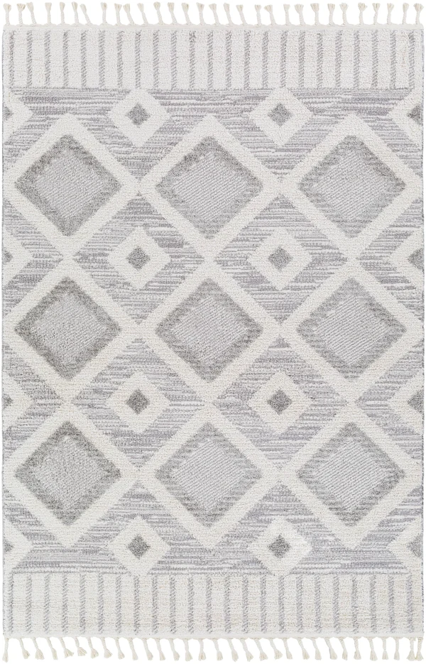 Valencia (Vlc-2312) - 6& 7x22 x 9& Rug