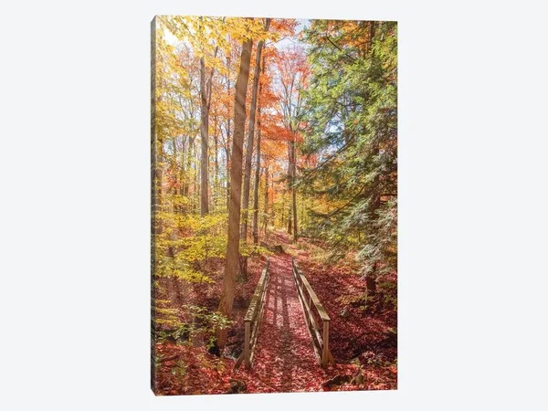 Brooke T. Ryan Paintings on Canvas Art - Forest Bridge Print ( scenic & landscapes > Nature > forests art)