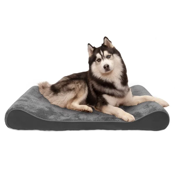 FurHaven Pet Bed, Memory Foam Minky Plush & Velvet Luxe Lounger Dog Bed - Jumbo - Gray