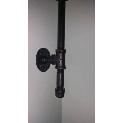 Long Iron Sconce 17 Stories Finish: Amber