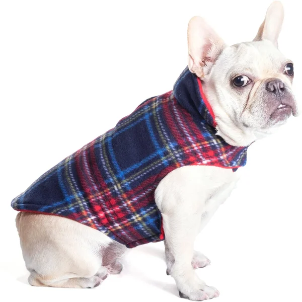 The Worthy Dog Fargo Fleece Plaid Dog Jacket - Navy/Blue - 28 81564404