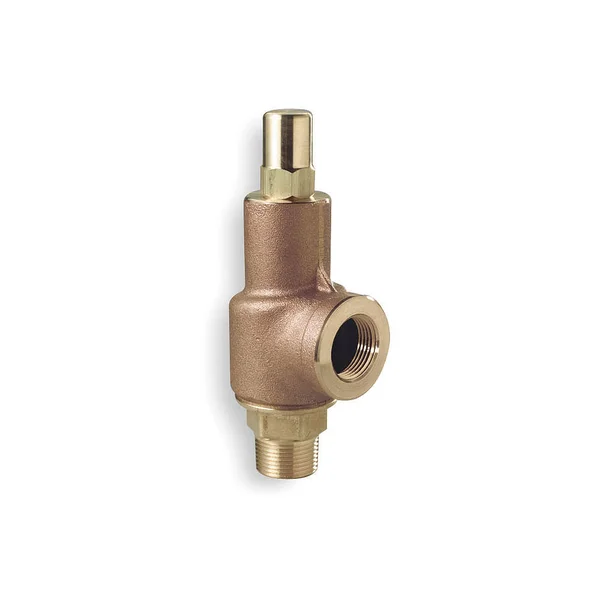 Aquatrol 69D1-125 Adjustable Relief Valve, 1-1/4 In, 125 PSI