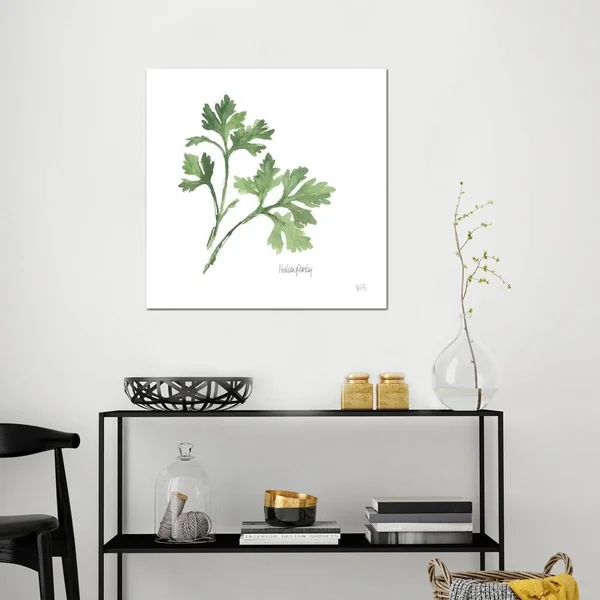 Chris Paschke Canvas Wall Decor Art Prints - Italian Parsley ( Floral & Botanical > Plants > Herbs art)