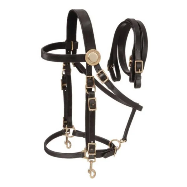 Australian Outrider Supreme Leather Halter Bridle - Black