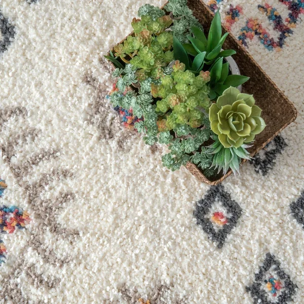 nuLOOM Cabrice Shag Area Rug, Size: 6& x 9&