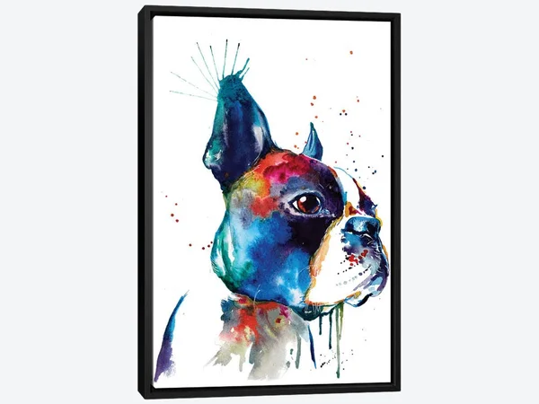 Framed Canvas Art - Boston by Weekday Best ( Animal Art > Dogs > Terriers > Boston Terriers art)