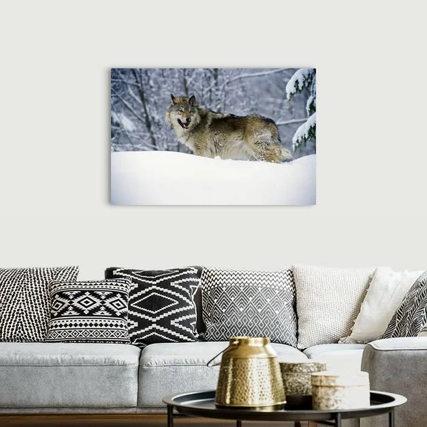 Gray Wolf in Snow, Montana, Canvas Wall Art, 48x32, Great Big Canvas