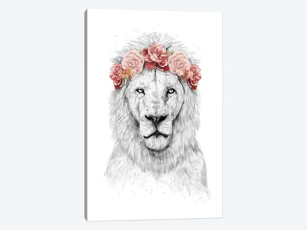 Balazs Solti Canvas Prints - Festival Lion ( Animal Art > Wildlife > Wild Cats > Lions art)