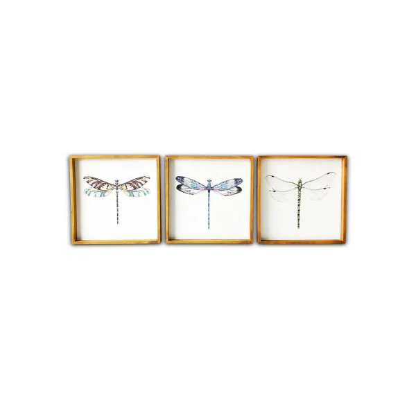 (Set of 3) 20x22 x 20x22 Dragonflies Wood Framed Wall Canvas - Gallery 57 - 20 x 20 inches