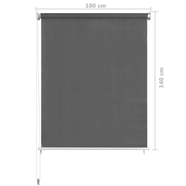 vidaXL Outdoor Roller Blind 100x140 cm Anthracite