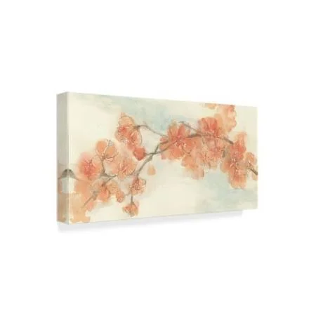 Trademark Fine Art Wap05619-C1632Gg Chris Paschke 'Peach Blossom II' C