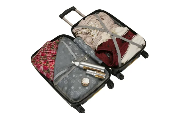 Rockland 20x22 Polycarbonate Carry-On