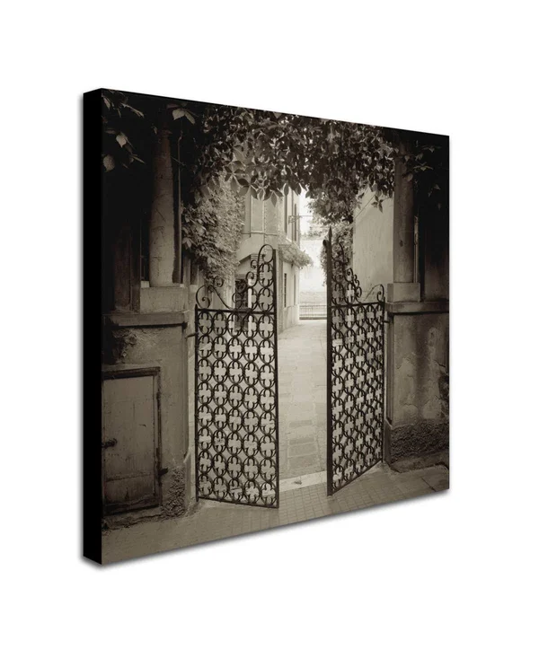 Trademark Art Alan Blaustein 'Venezia V' Canvas Art