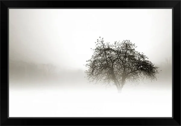 in The Mist I, Black Framed Wall Art, 30x20, Great Big Canvas