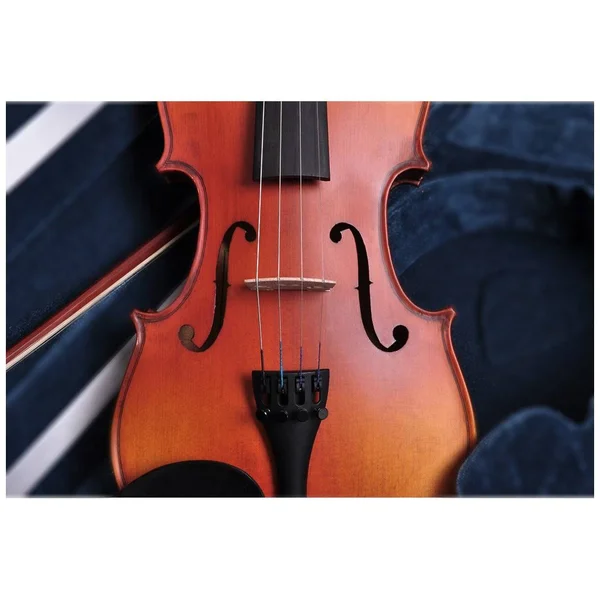AplusBuy 4/4 Full Size Handmade Violin Stradivari Copy Style Fiddle Case Bow Set