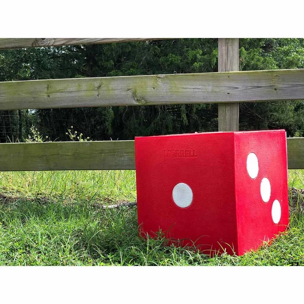 Morrell High Roller 21 Target