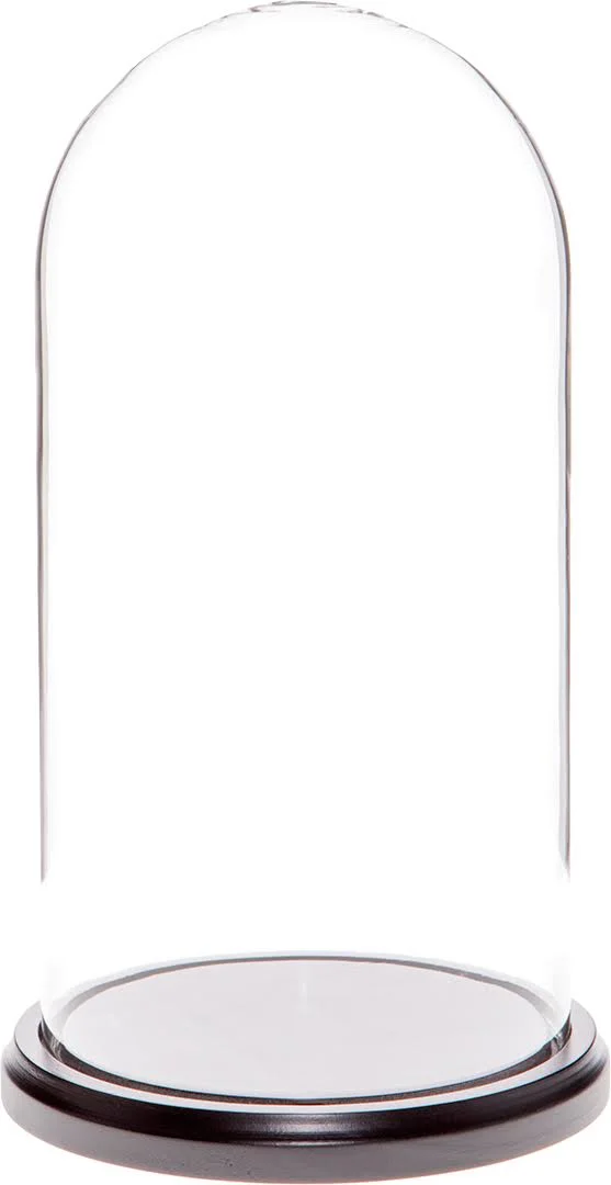 Plymor Brand 5.5x22 x 11x22 Glass Display Dome Cloche (Black Wood Base)