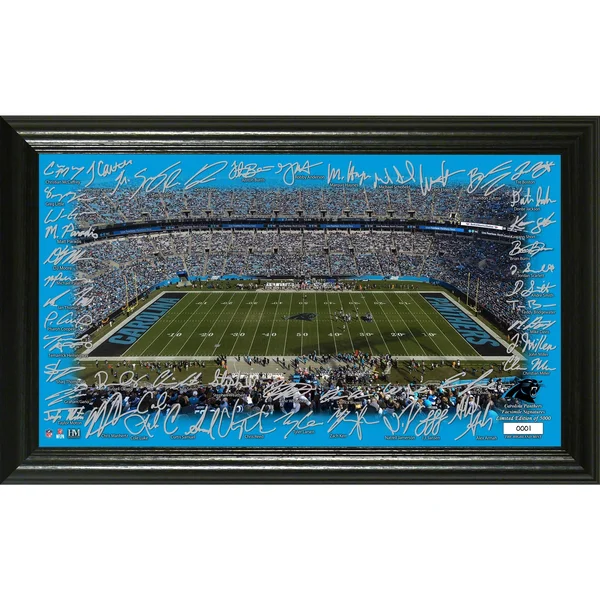 NFL Carolina Panthers 2020 Signature Gridiron Framed Photo Multi