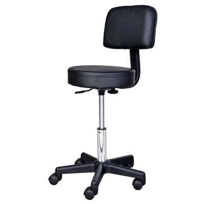 Hydraulic Height Adjustable Lab Stool Inbox Zero Seat Color: Black