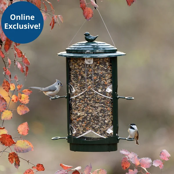 Squirrel-x LX1 Squirrel-Proof Bird Feeder with Spring-Loaded Perches, 4.2 lb. Capacity