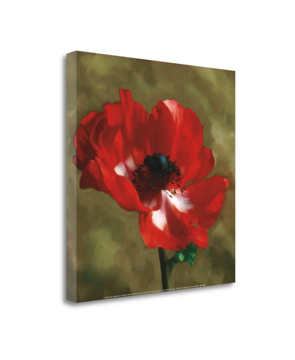 23x22 x 23x22 Brilliance II by Janel Pahl Fine Art Giclee Print