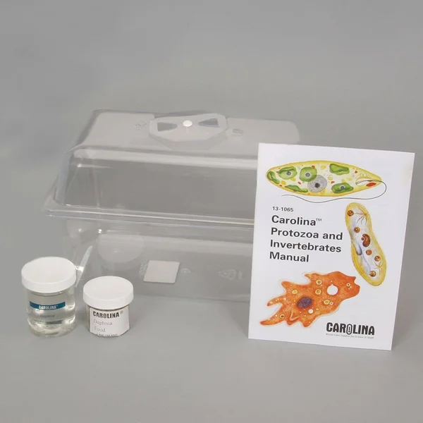 Daphnia Magna Culture Kit, Living