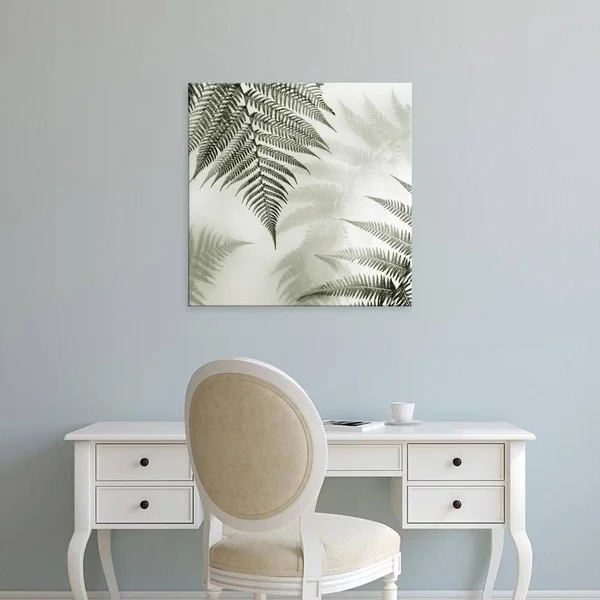 Easy Art Prints Alan Blaustein's 'Ferns NO. 1' Premium Canvas Art (30 x 30)