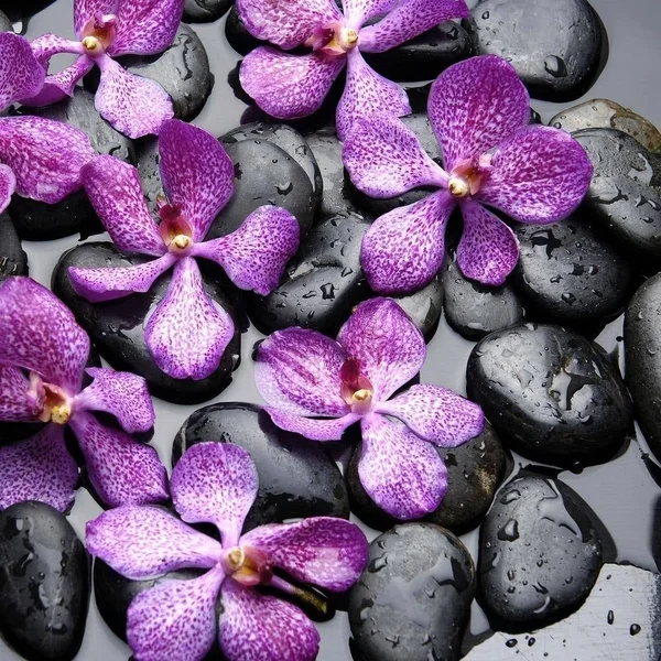 Easy Art Prints PhotoINC Studio's 'Zen Pebbles' Premium Canvas Art - 12 x 12 - Modern Black Frame
