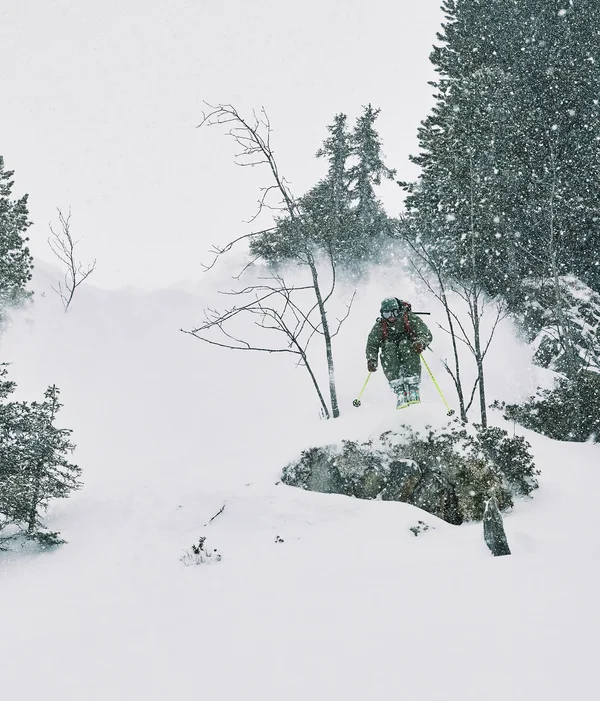 Black Crows Meta Ski Poles