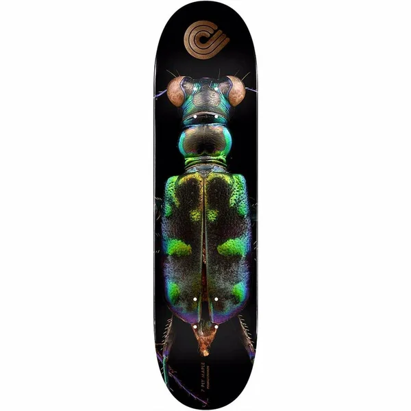 Powell Peralta Skateboard Deck Tiger Beetle 8.25
